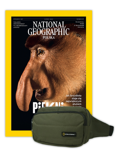 Roczna prenumerata National Geographic z torbą biodrową NG PRO 718 KHAKI